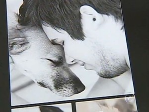 Procura por álbuns de fotografia de cães têm aumentado (Foto: Reprodução/TV TEM)