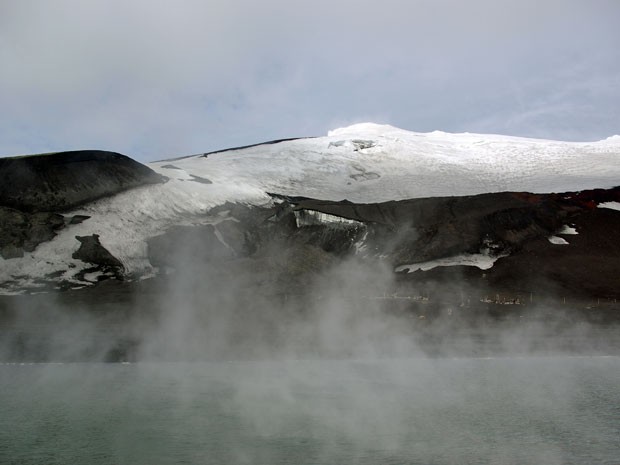 Calor e vapor dos vulcões permitiram que espécies sobrevivessem (Foto: AFP/ Peter Convey/ British Antarctic Survey)