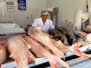 Maria Auxiliadora está no mercado público do Quilômetro Um, em Porto Velho, há 22 anos. "É a semana santa em que menos vendi peixe", diz. (Foto: Suzi Rocha/G1) Maria Auxiliadora está no mercado público do Quilômetro Um, em Porto Velho, há 22 anos. "É a semana santa em que menos vendi peixe", diz. (Foto: Suzi Rocha/G1)