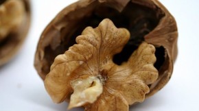 Pesquisadores holandeses analisaram hábitos alimentares de mais de 120 mil pessoas (Foto: BBC)