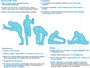 Alongar os músculos melhora a 
flexibilidade e a consciência corporal