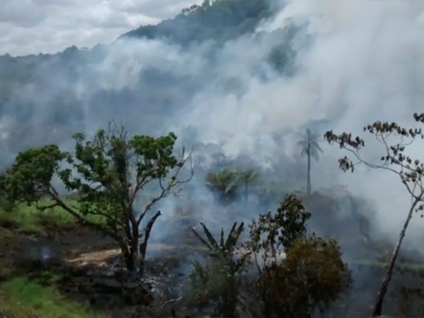 Bombeiros tentam apagar incêndio em área verde próxima a Arena PE (Foto: Sérgio Crispim/ Acervo Pessoal) Bombeiros tentam apagar incêndio em área verde próxima a Arena PE (Foto: Sérgio Crispim/ Acervo Pessoal)