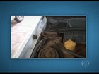 Cobra é encontrada em motor de carro em Vicente Pires, no DF