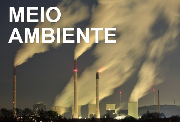 Meio ambiente (Foto: AP)