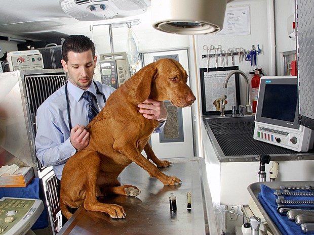 O veterinário Doug Kramer com seu cachorro Mason  (Foto: Oscar Anaya/Vet Guru Inc/AP)