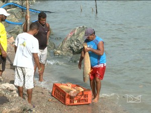 Para a Federação dos Pescadores do Maranhão, o número pode chegar a 35 mil  (Foto: Reprodução/TV Mirante)
