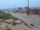 Número de desabrigados por causa da chuva chega a 530 no Paraná