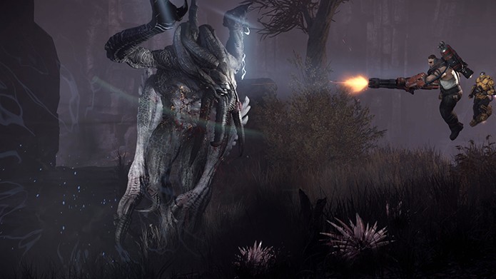 evolve-kraken