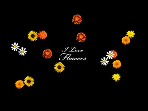 screenshot de Proteção de Tela: I love flowers