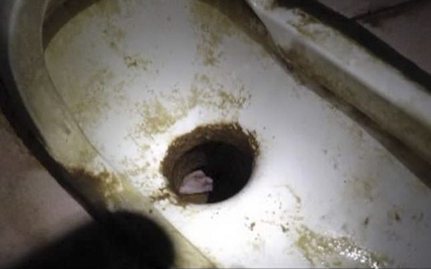 Os pés do bebê recém-nascido foram vistos em um vaso sanitário (Foto: AP Photo)