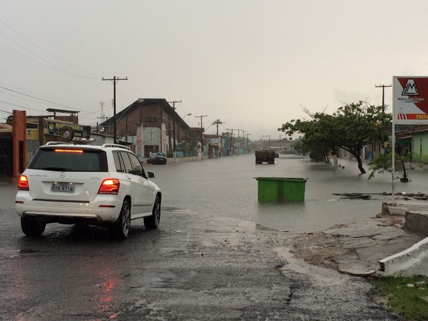 G1 Temporal derruba árvores em Maceió e deixa ruas e avenidas