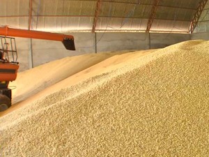 Armazém de milho (Foto: Reprodução/TVCA)