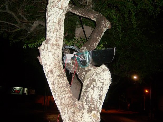 Projetores estão instalados em árvores no canteiro central da avenida Prudente de Morais, em Natal (Foto: Divulgação/Semsur)