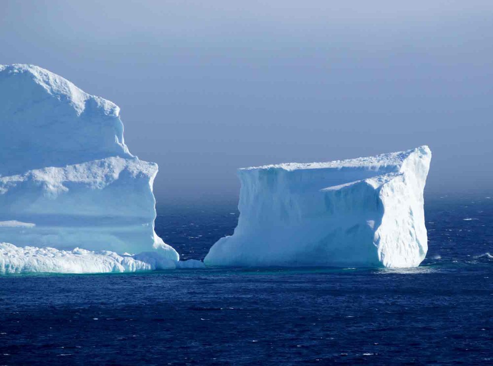  Icebergs encalhados são uma ótima notícia para agências de turismo  (Foto: Jody Martin/Reuters)