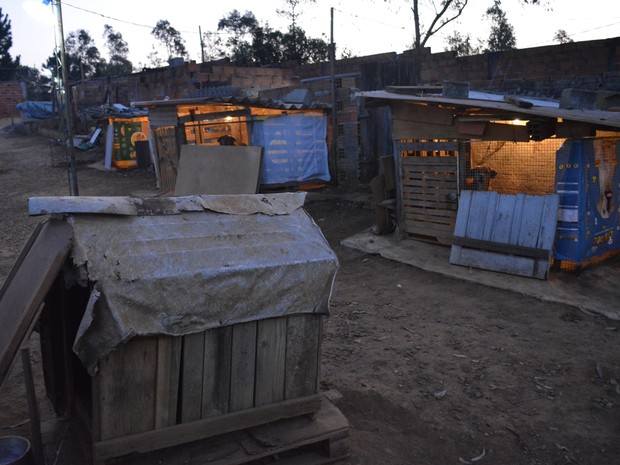 Alguns cachorros possuem &quot;casas separadas&quot; em &quot;vilarejo&quot; mantido por idoso em Mogi das Cruzes (Foto: Jamile Santana/G1)