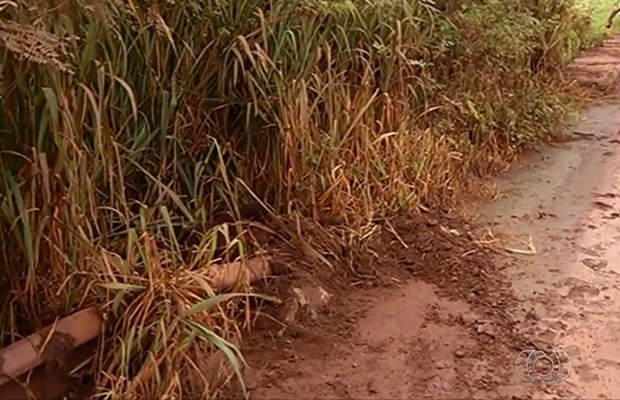 Produtores rurais reclamam de falta de manutenção e se unem para limpar ponte, na GO-184, em Jataí (Foto: Reprodução/TV Anhanguera) Produtores rurais reclamam de falta de manutenção e se unem para limpar ponte, na GO-184, em Jataí (Foto: Reprodução/TV Anhanguera)