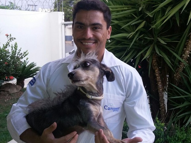 Médico veterinário cuidou e adotou Brad (Foto: Ricardo Guimarães / G1)