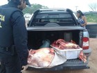 Polícia Civil apreende mais de 100 quilos de carne bovina ilegal