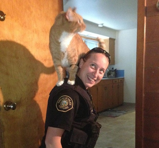 'Gato policial' é fotografado no ombro da oficial Sarah Kerwin durante operação policial em casa em Portland, no Oregon (EUA) (Foto: Portland Police Bureau/AP)