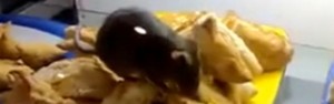 Homem flagra rato em vitrine de aeroporto (Reprodução/YouTube/TheParadise)