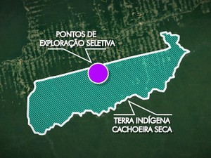 Área onde era realizada a extração ilegal de madeira (Foto: TV Tapajós/Editoria de Arte)