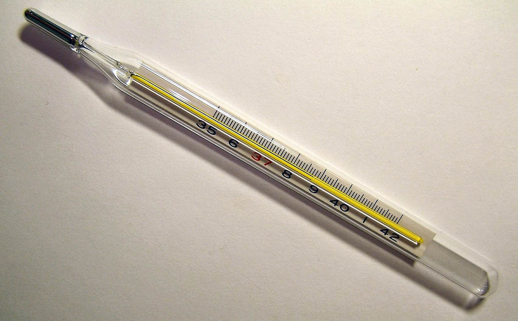  Termômetro de mercúrio pode ser proibido no Brasil (Foto: Menchi/Wikimedia Commons)