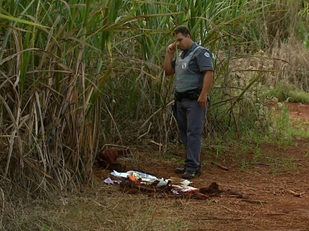 Ossos foram encontrados em canavial s margens da Rodovia Mario Doneg (Foto: Fbio Junior/EPTV)