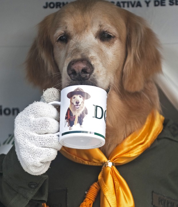 Com ajuda de policial, cão 