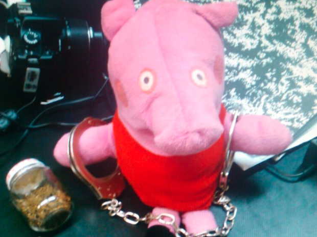 Peppa Pig foi apreendida junto com a droga (Foto: Eduander Silva/Arquivo pessoal)