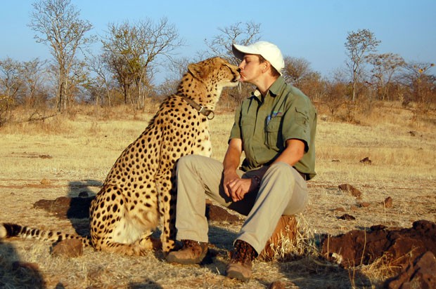 Ed Oelofse d 'selinho' em Sylvester, guepardo resgatado no Zimbbue (Foto: Caters News/The Grosby Group )