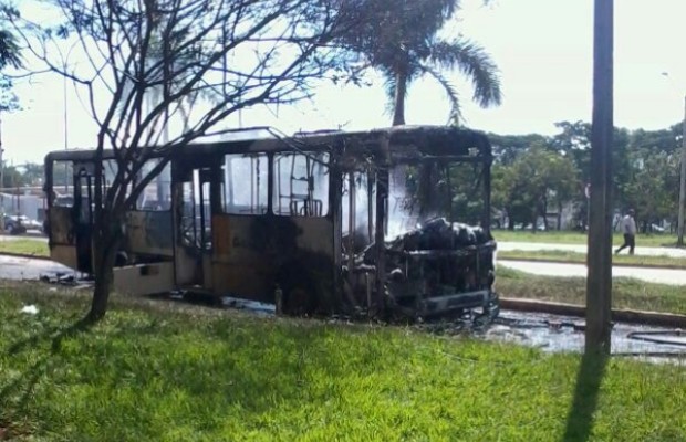 Manifestantes incendeiam onibus em Goiânia, Goiás (Foto: Betânia Santana)