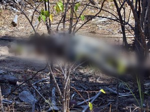 Vítima estava sem os olhos e em estado de decomposição (Foto: Kairo Amaral/Portal Costa Norte)