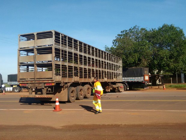 G1 Motocicleta Para Embaixo De Carreta Em Acidente Na BR 163 Em MS