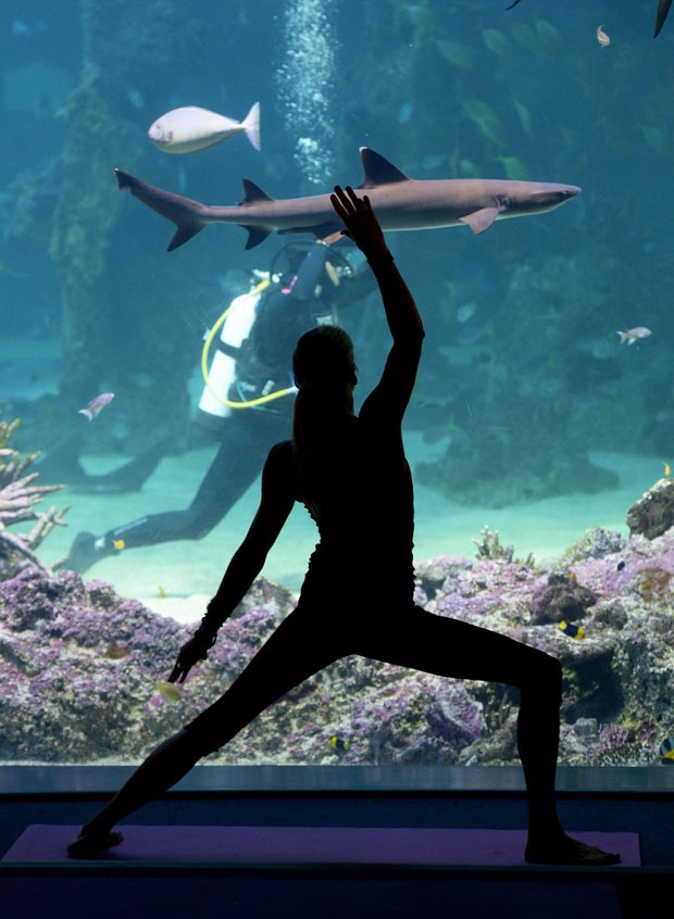 A instrutora  de ioga Sasha Hawlay mergulhou junto com peixes e tubarões. (Foto: AFP Photo / Greg Wood)