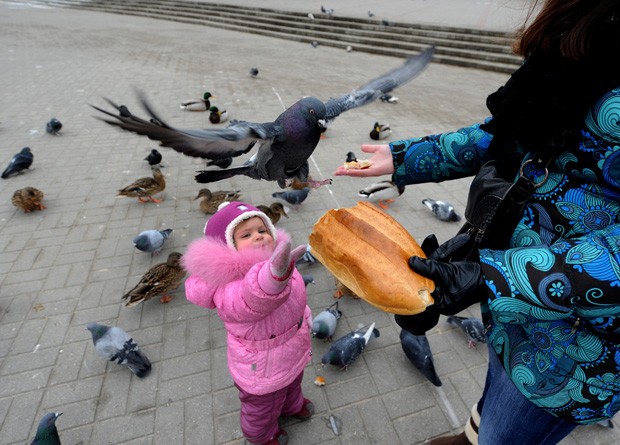 Junto com a mãe, menina 'ajudou' a dar comida para os pássaros na capital Minsk (Foto: Viktor Drachev/AFP)