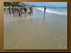 Vídeo flagra tubarão sendo arrastado por banhista em praia da Paraíba