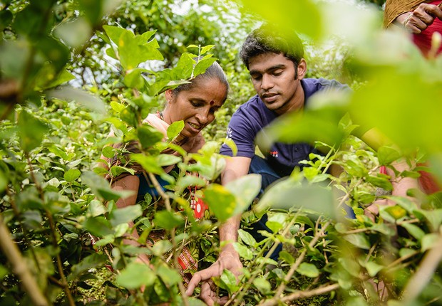 Time de universitários ajuda pequenos produtores na Índia (Foto: Divulgação)