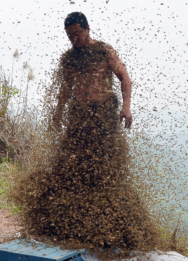 'Desafio' com abelhas foi realizado em Chongqing, na China (Foto: STR/AFP)