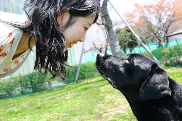  Uma das estudantes brinca com o labrador Hook: a troca de olhares fez aumentar o nivel de ocitocina em sua dona  (Foto: Mikako Mikura/Divulgação )