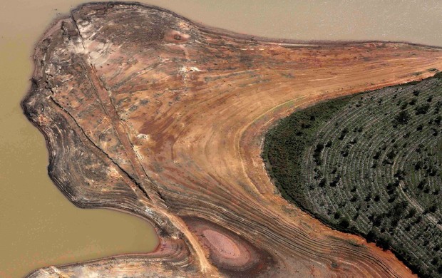 o ano em que a natureza gritou (Nacho Doce/Reuters)