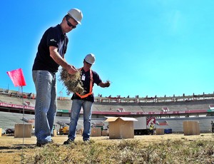 Plantio de grama no Beira-Rio (Foto: Alexandre Lops / Inter, DVG) Plantio de grama no Beira-Rio (Foto: Alexandre Lops / Inter, DVG)