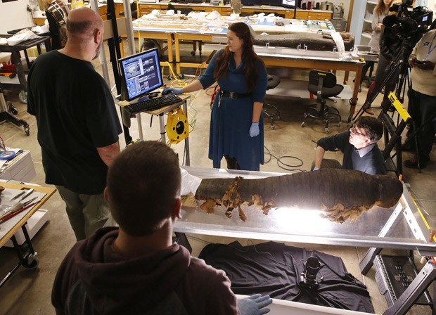 Equipe do Museu Field, de Chicago, trabalha para conservar múmia de 2.500 anos (Foto: AP Photo/Charles Rex Arbogast)