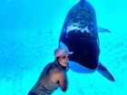 Juju Salimeni é criticada ao posar com baleias em parque aquático