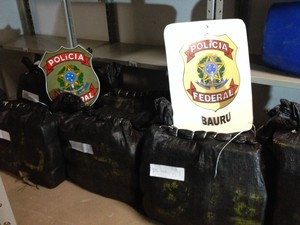 345 quilos de cocaína foram apreendidos pela PF (Foto: Fábio Leopissi/ TV TEM)