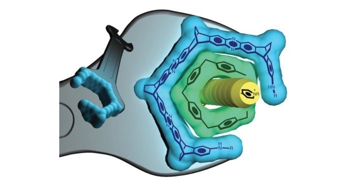 Chave de fenda nanométrica pode criar novas moléculas (Foto: Divulgação/Severin Schneebeli, UVM)