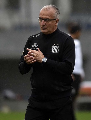 Dorival - Treino - Santos (Foto: Ivan Storti/Santos FC) Dorival - Treino - Santos (Foto: Ivan Storti/Santos FC)