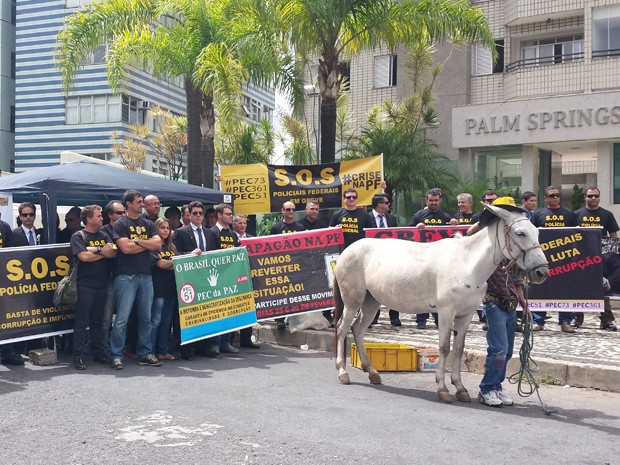 Durante protesto em BH, mula foi usada para criticar trabalho da Polícia Federal. (Foto: Michele Marie/ G1)