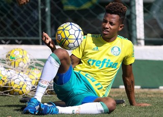 Tchê Tchê Palmeiras (Foto: Cesar Greco/Ag Palmeiras/Divulgação)