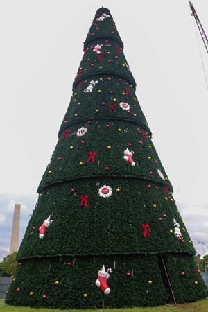 arvore2015_marceloscamargo.jpg