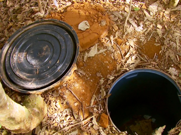 Maconha estava em tambor enterrado a cerca de 1,5 metro de profundidade em meio a cafezal de Paraguaçu, MG (Foto: Reprodução/EPTV)